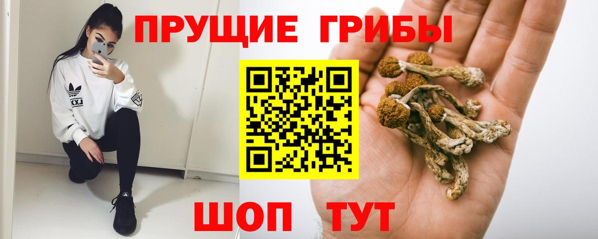 сколько стоит  Вход с VPN  Фурманов  Галлюциногенные грибы Psilocybe  Галлюциногенные грибы Psilocybe 